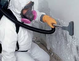 Why You Should Choose Our Mold Remediation Services in Addison, IL